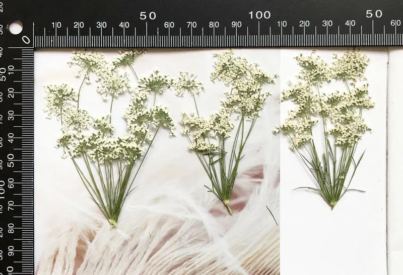 5-7Cm/12 Chiếc, Tuyết Hoa Nhỏ  - đánh giá và giá Baby Nursery Mobile